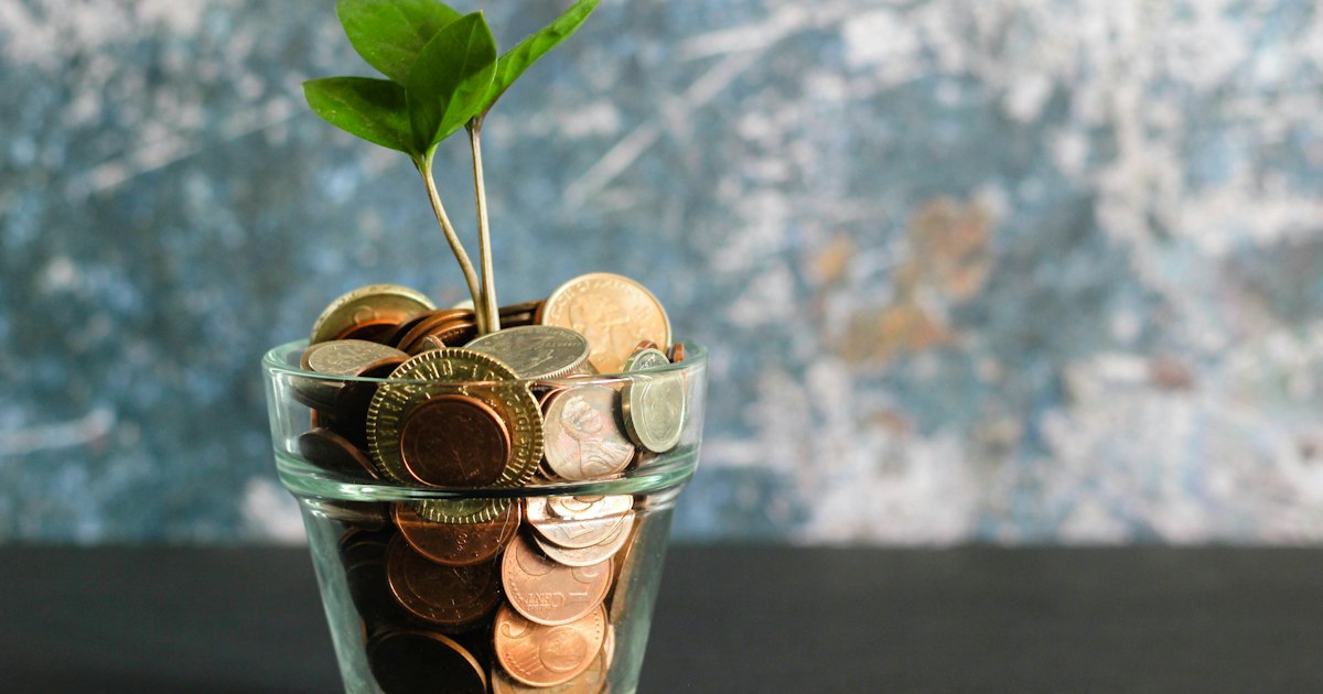 Organic Traffic or Ads: Which Is More Profitable for Ecommerce?